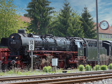 IMG_8704_bearbeitet-1 (1).jpeg