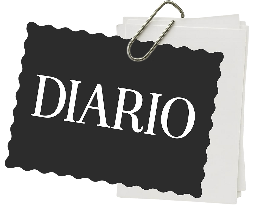 logo DIARIO negro.png