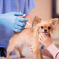 istockphoto-483225474-612x612.jpg
