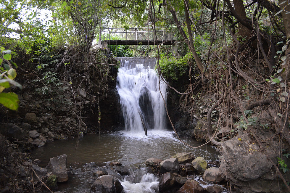 Agua Blanca Resort, Jungapeo Michoacan (9).JPG