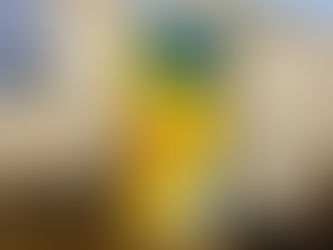 Kintsugi, Community, and Courage in Hastings