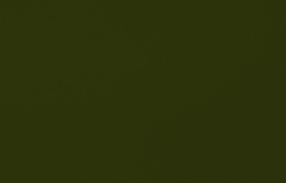 Frame 13_edited_edited.jpg