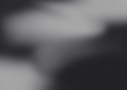 BG 1.png