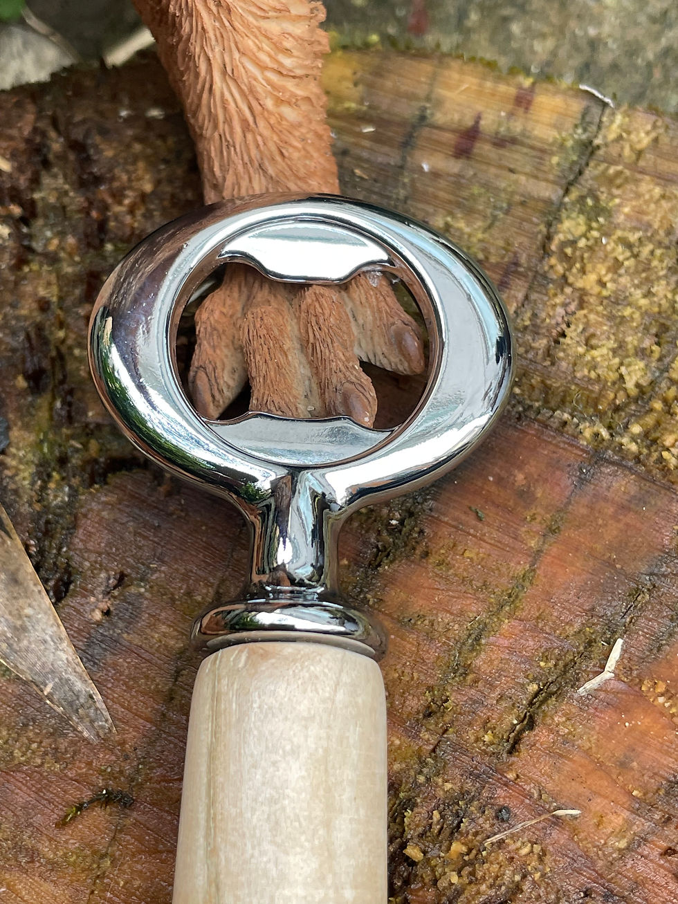 Thumbnail: Ash Bottle Opener