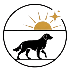 Logo Transparent Top.png