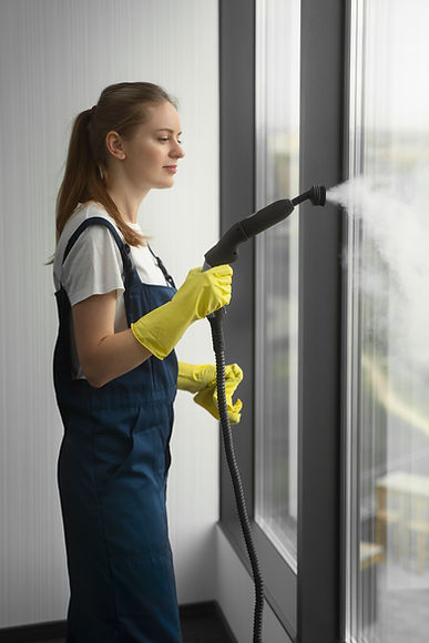 Woman Cleaning windows