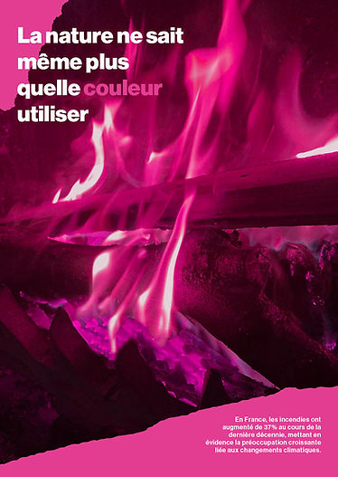 affiche finale rose.jpg
