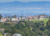 NAPA COUNTY (3).png
