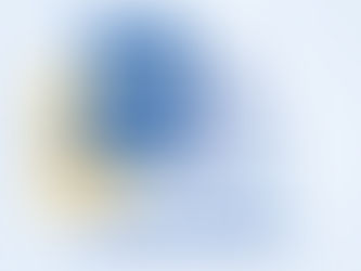 TallyPrime’s Flexible Voucher Numbering Capabilities for Accurate Recordkeeping