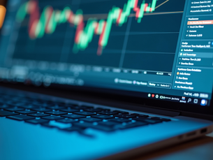Contributions and Tips for Effective SAP Learning