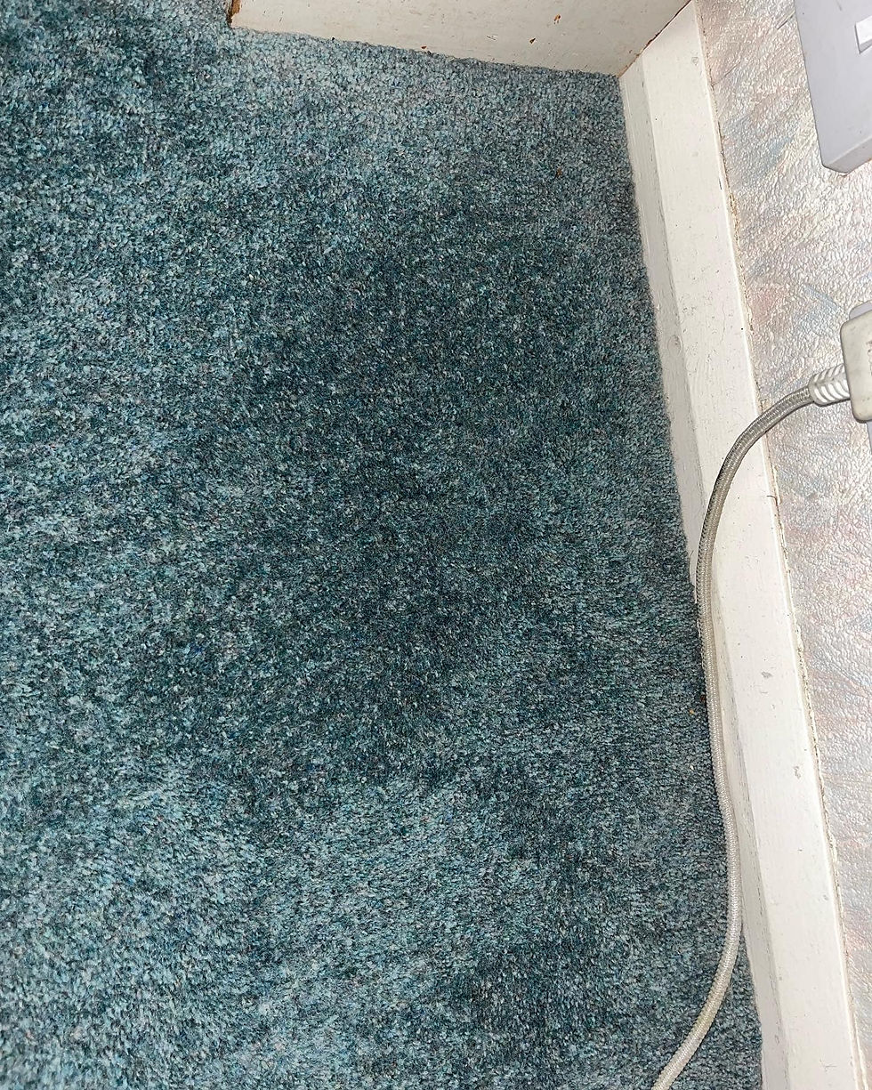 Carpet Spot Clean After