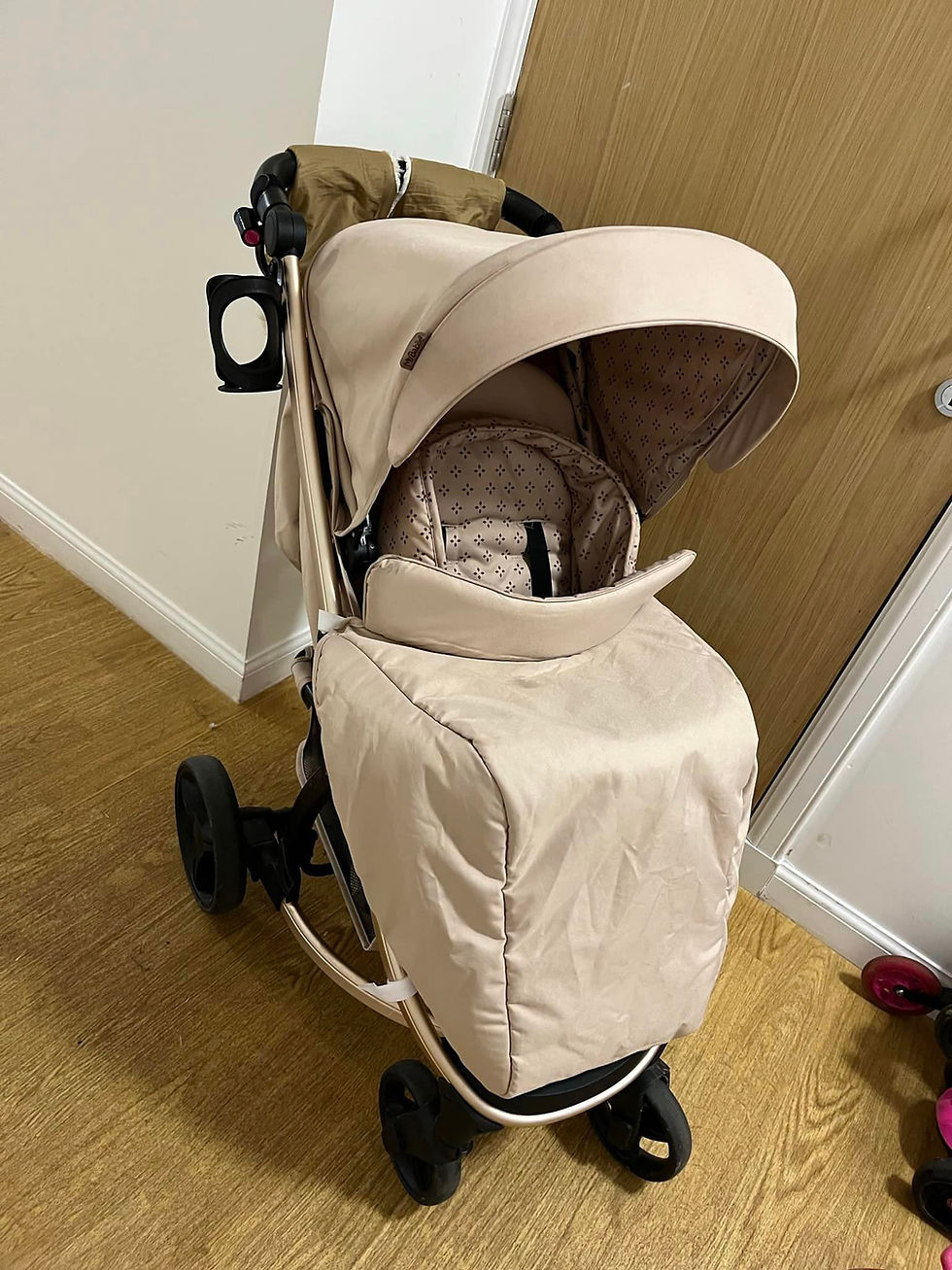 Baby Stroller Clean
