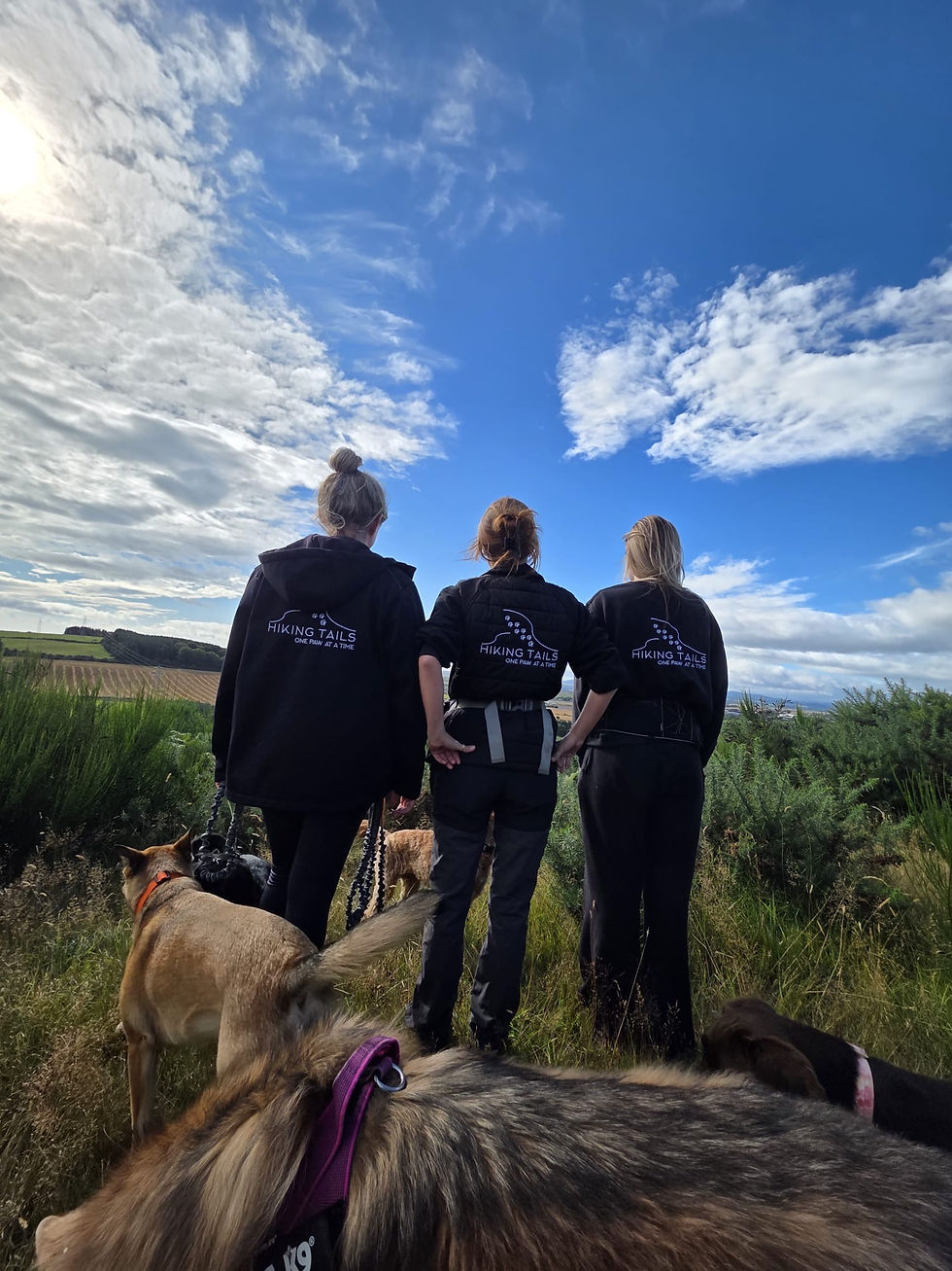 Dog Walkers Aberdeen Hiking Tails Girl Dog Walkers