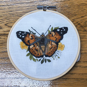 Butterfly