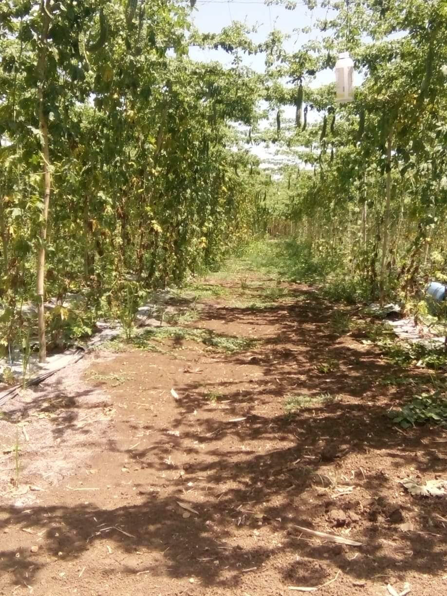 received_1329117353961104