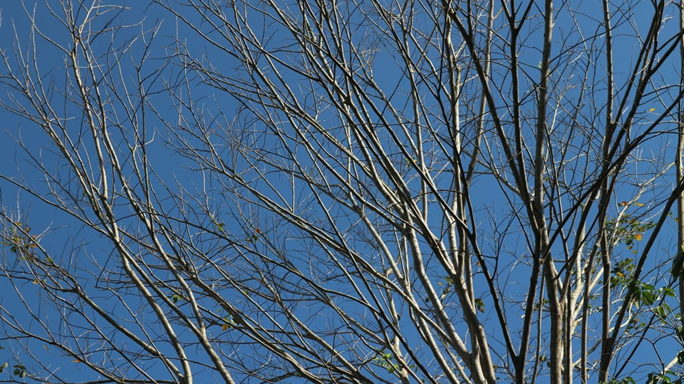 106169435_649744055640423_47536097619166