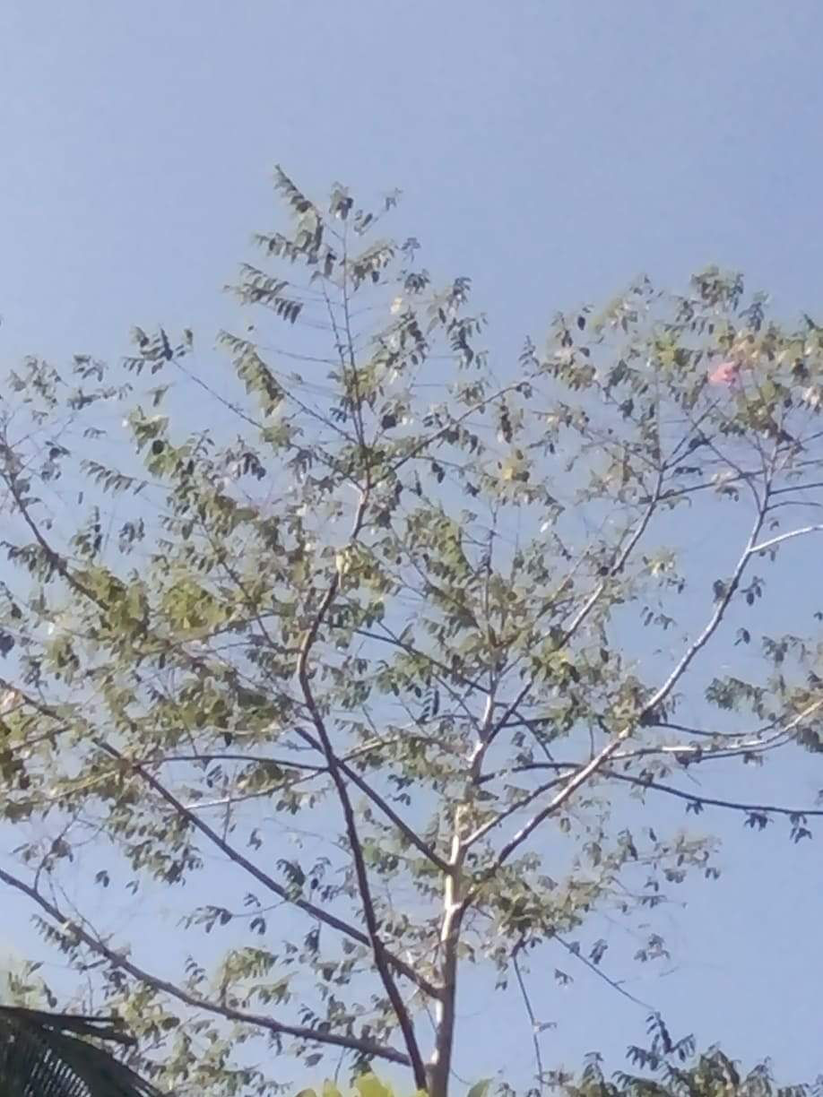 received_668603043718253