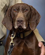 0B2A2922-2_edited_edited.jpg