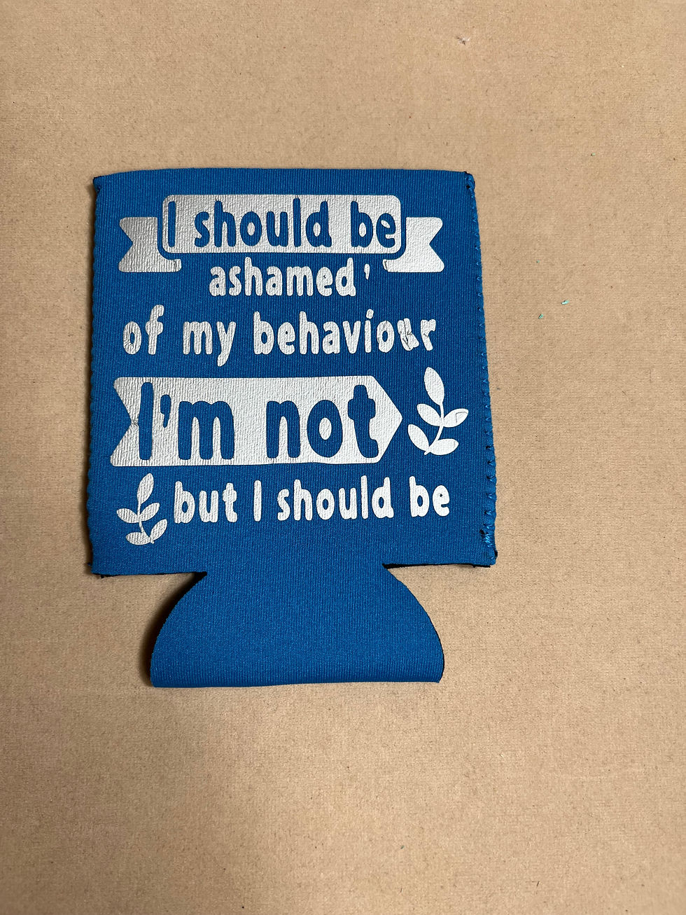 I Should Be Ashamed of My Behavior, I'm Not But I Should Be