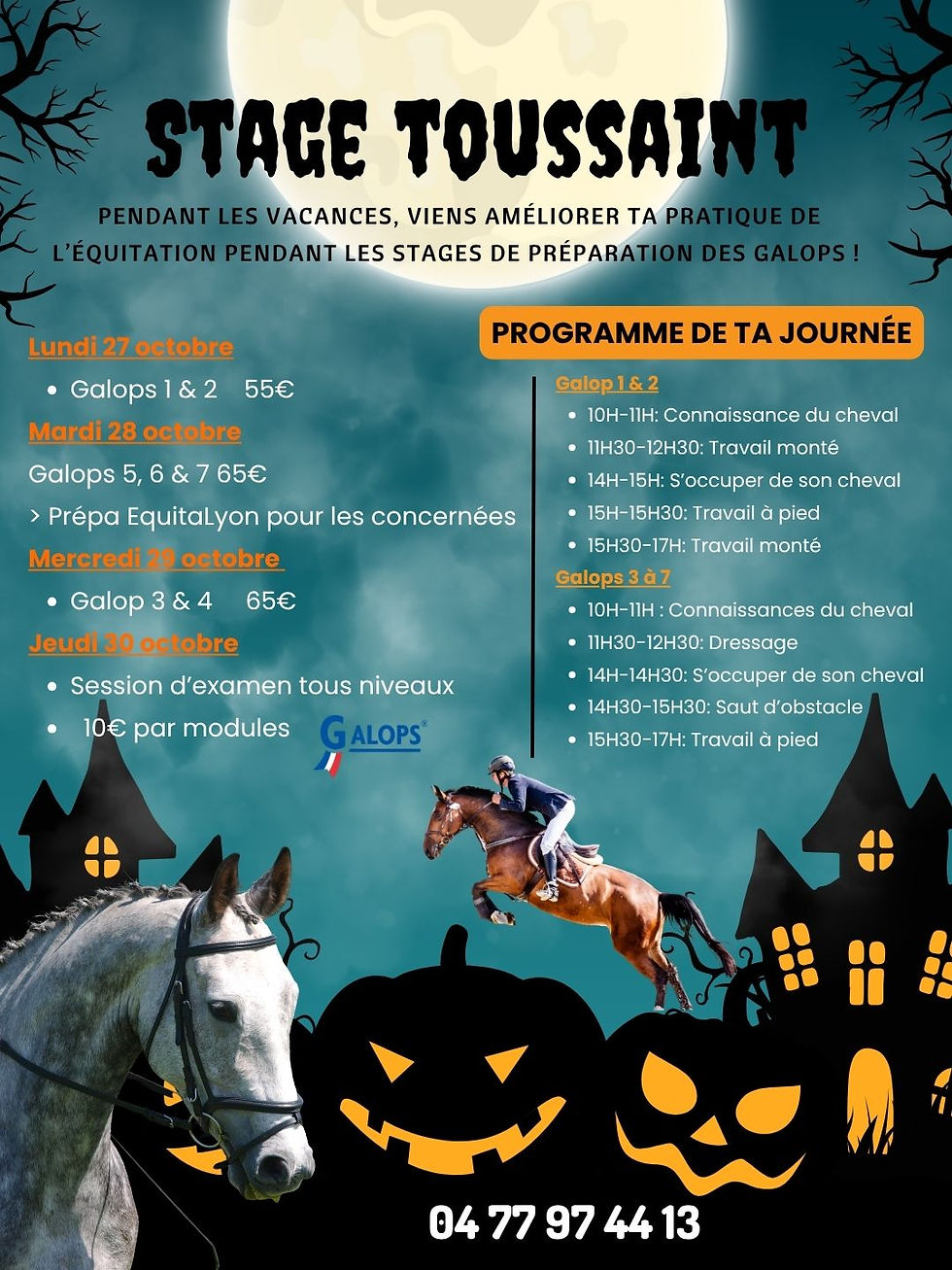  🐴✨STAGES TOUSSAINT – Préparation Galops✨🐴