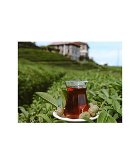 Hidden Valley of the Lepchas (4).jpg