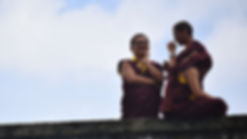 Purple Ocean Blog Header.jpg