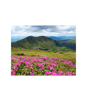 Hidden Valley of the Lepchas (3).jpg