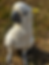 IMG_2733.HEIC