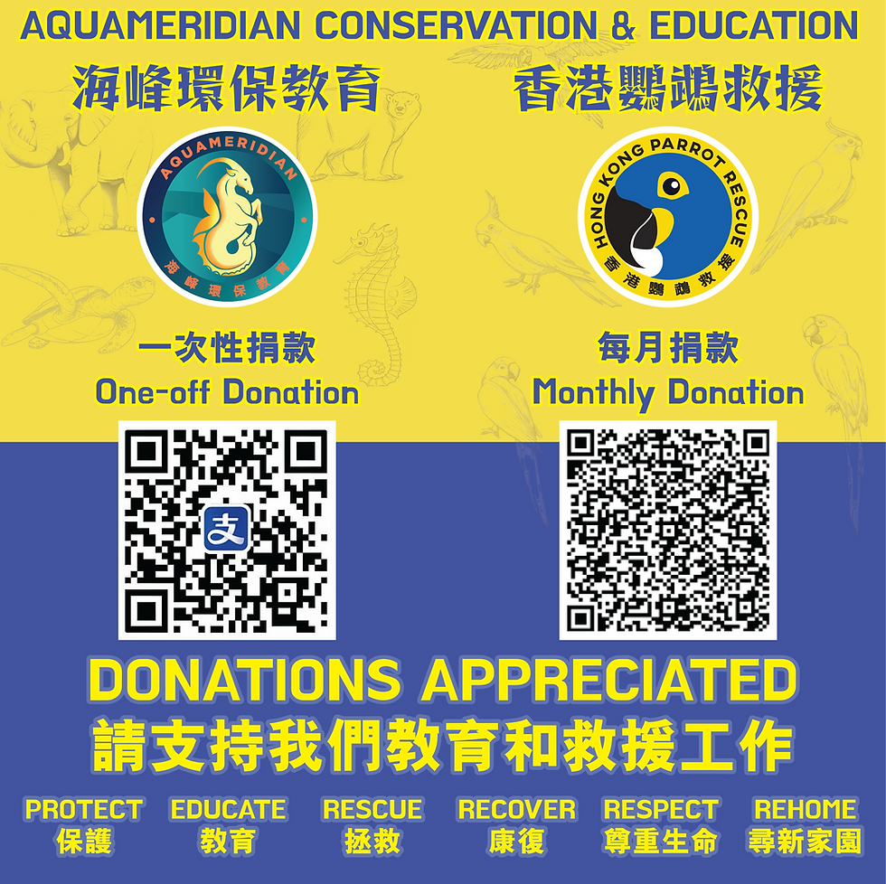 donation.png