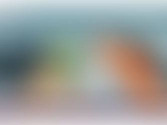 LA PANDEMIA QUE EVIDENCIÓ LA REALIDAD NACIONAL.