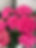 IMG_6018.jpeg