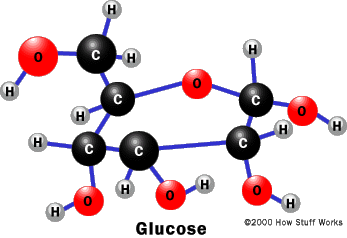 food-glucose.gif