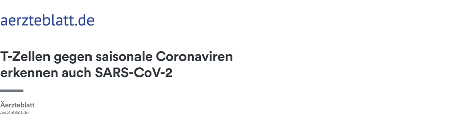 test_artikel.png
