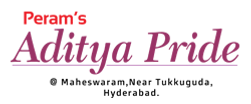 perams-aditya-pride (1).png