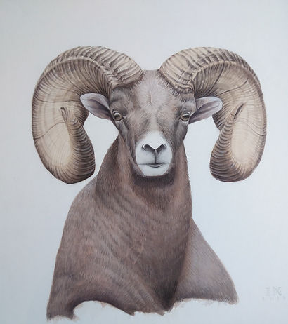 muflón.82,6X75,5.jpg