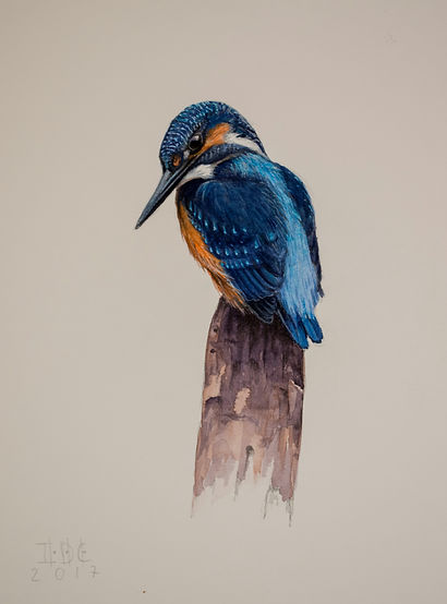 martÃn_pescador.47,5X35.jpg