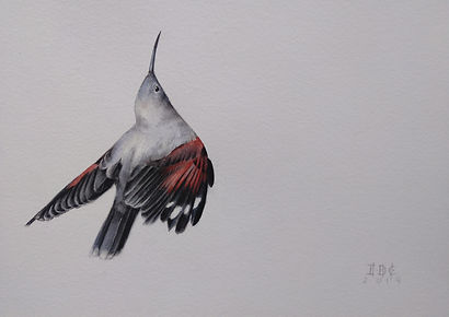 treparriscos. 28,8X44.jpg