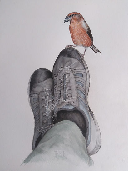 piquituerto en mi bota.49,7X35.jpg