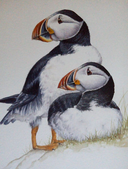 frailecillos.70X50.jpg