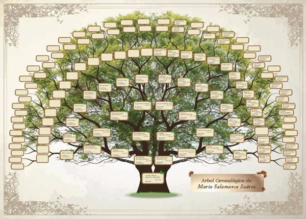 Mi árbol genealógico y yo. Conociendo, sanando y abrazando el árbol.