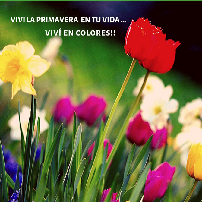 Renacer en Primavera