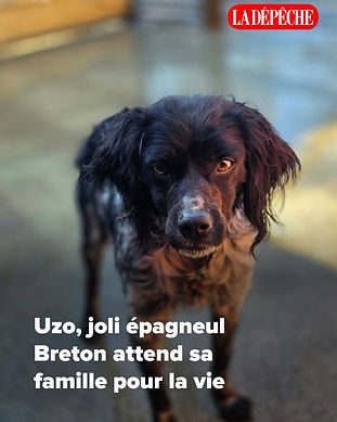 uLYSSE