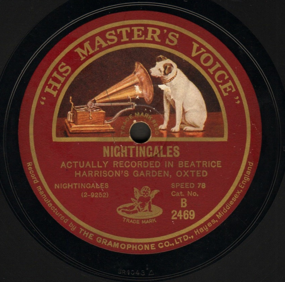Recordings were produced of Beatrice and the Nightingales. Listen at https://archive.org/details/2-beatrice-harrison-garden-dawn-hmv-b-2469/1+Beatrice+Harrison+Garden+-+Nightingales+HMV+B+2469.flac