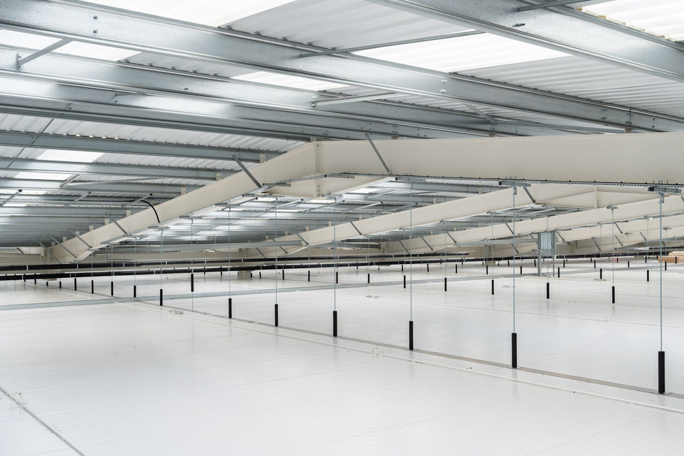 Steel roof structure and roof void