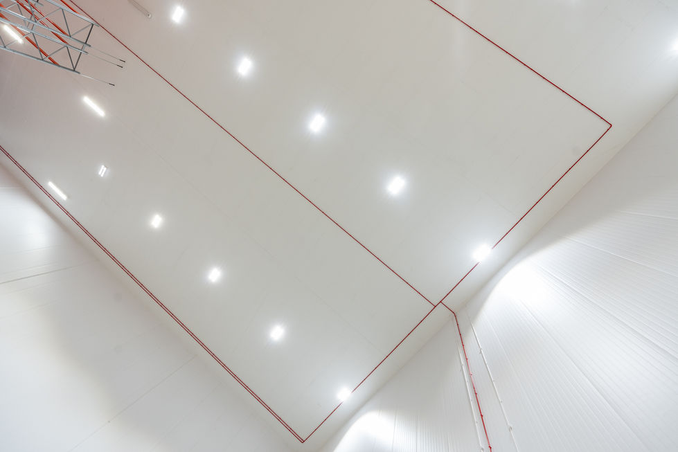 Warehouse ceiling with integrated lighting and red fire sprinkler pipework