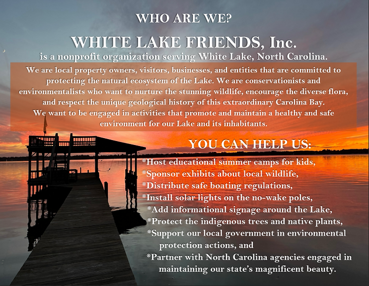 WLFpamphlet1.png