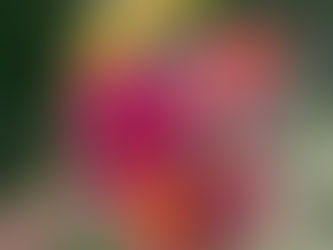 Sowing Change: How We’re Growing a Greener Future in Flowers