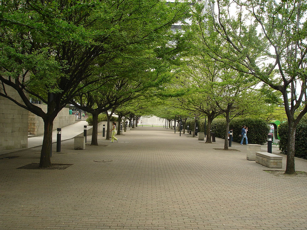 DSC07035.JPG