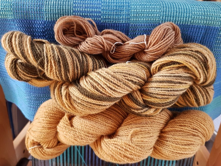 Virtual Dye Day Rewind