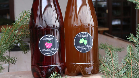1l Lesní plody limonáda Nektar Natura